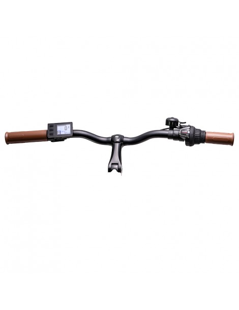 Bezior M2 Pro Ciclomotore elettrico 500W Motore 12.5Ah Batteria- Nero Spedizione Gratuita
