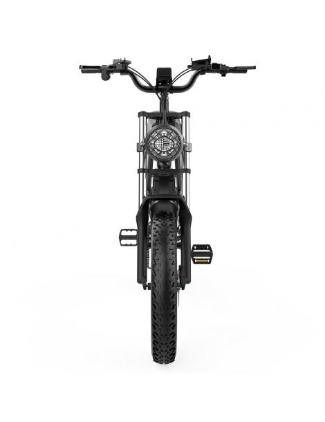 Ridstar Q20 Electric Bike 1000W Brushless Motor 20*4 Inch Fat Tires 48V 20Ah Removable Battery 30mph Max Speed 2025