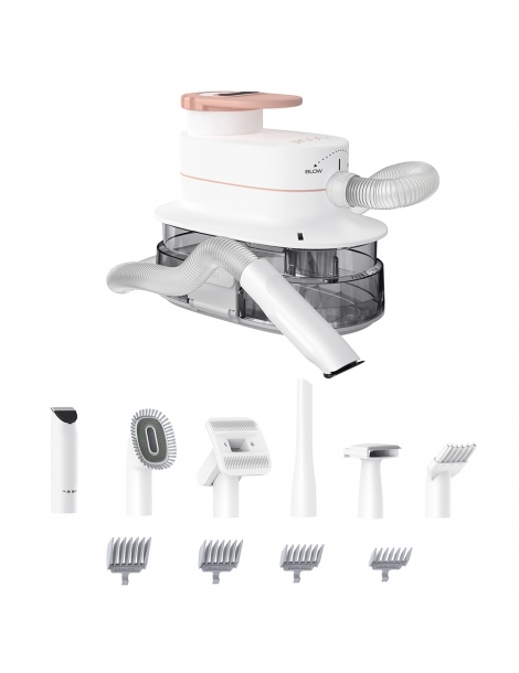 JIGOO P300 Kit aspirapolvere per animali domestici 11 in 1 3 modalità di velocità contenitore per la polvere da 4 litri Latest fashion