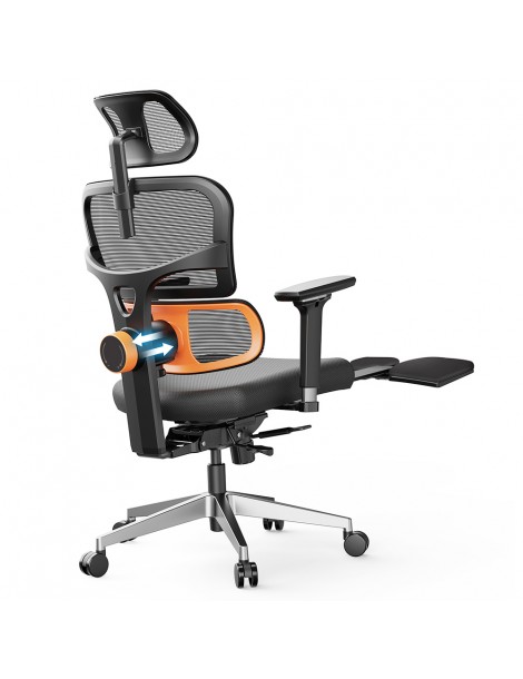 NEWTRAL Chair Pro NT002 Sedia ergonomica adattiva con supporto per la parte bassa della schiena Ultimi tre giorni