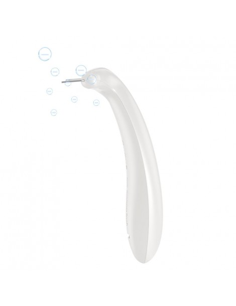 Pettine per Peli di Animali Domestici con Tre Pettini Sostituibili da 0 8 mm 1 0 mm e 1 5 mm Leggero e Confortevole Ultimo giorno