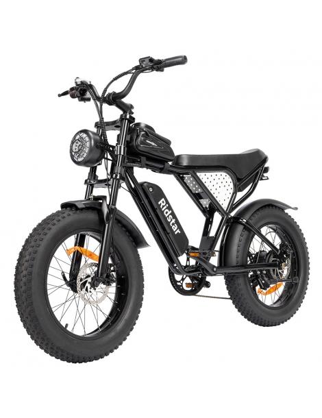 Ridstar Q20 Mini Electric Bike motore 1000W batteria 48V 15AH pneumatici grassi 20*4.0 pollici velocità massima 40km/h Negozio online di fabbrica