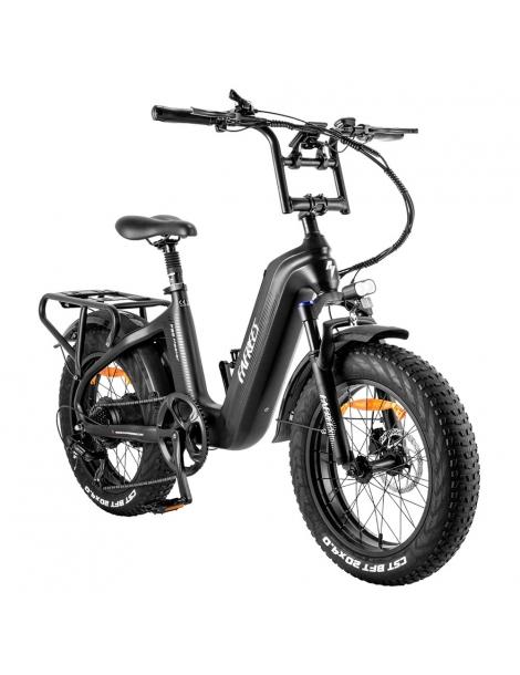 FAFREES F20 Master E-bike 20*4.0 pollici pneumatico 500W trazione posteriore 25km/h velocità massima-Nero Spedizione Gratuita
